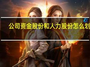 公司资金股份和人力股份怎么划分
