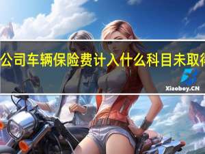 公司车辆保险费计入什么科目未取得发票（公司车辆保险费计入什么科目）