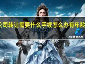 公司转让需要什么手续怎么办有年龄限制嘛（公司转让需要什么手续）