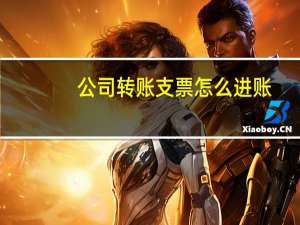 公司转账支票怎么进账