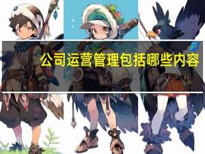 公司运营管理包括哪些内容（运营管理包括哪些内容）