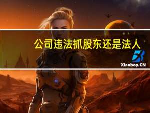 公司违法抓股东还是法人
