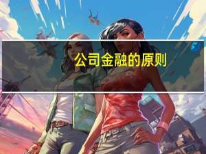 公司金融的原则