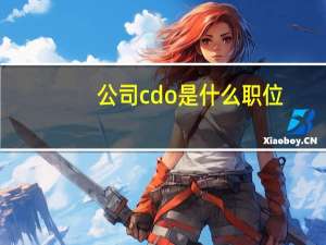 公司cdo是什么职位（cdo是什么职位）