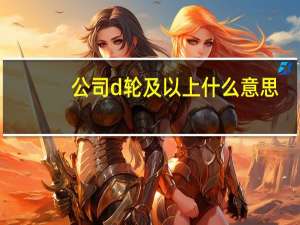 公司d轮及以上什么意思
