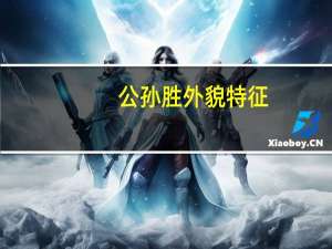 公孙胜外貌特征