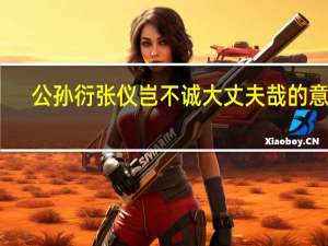 公孙衍张仪岂不诚大丈夫哉的意思