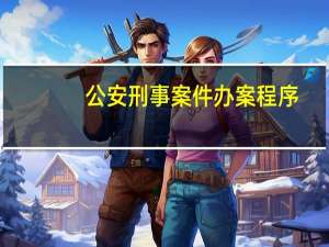 公安刑事案件办案程序