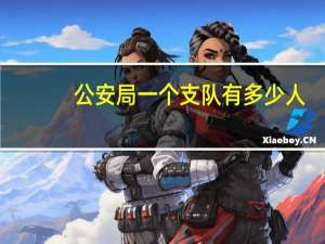 公安局一个支队有多少人