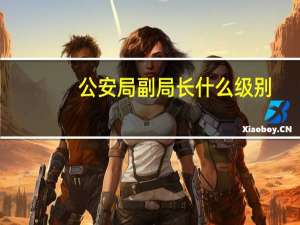 公安局副局长什么级别