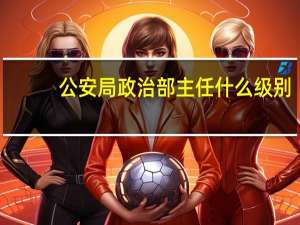 公安局政治部主任什么级别