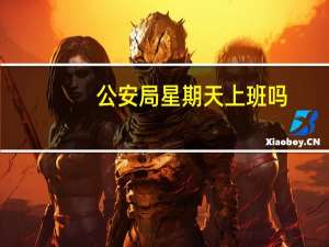 公安局星期天上班吗