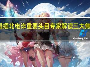 公安机关公开通缉缅北电诈重要头目专家解读三大焦点问题 到底什么情况嘞