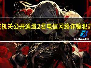 公安机关公开通缉2名电信网络诈骗犯罪集团头目