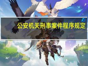 公安机关刑事案件程序规定