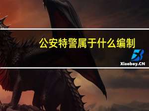 公安特警属于什么编制