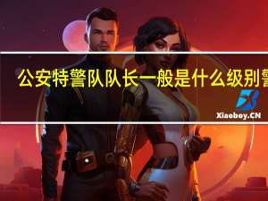 公安特警队队长一般是什么级别警衔