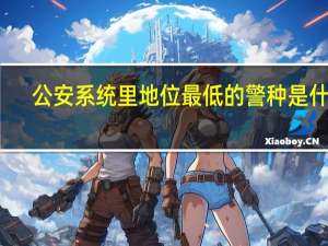 公安系统里地位最低的警种是什么