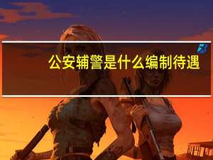 公安辅警是什么编制待遇