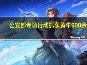 公安部专项行动抓获黄牛900余人