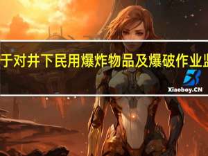公安部关于对井下民用爆炸物品及爆破作业监管意见的批复