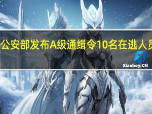 公安部发布A级通缉令 10名在逃人员名单