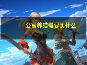 公寓养猫需要买什么