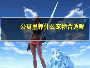 公寓里养什么宠物合适呢