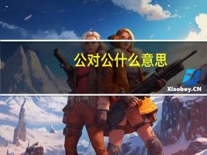 公对公什么意思