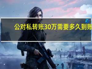 公对私转账30万需要多久到账