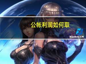 公帐利润如何取