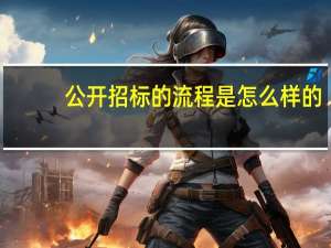 公开招标的流程是怎么样的（公开招标的流程）