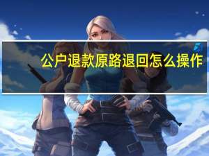 公户退款原路退回怎么操作