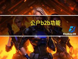 公户b2b功能