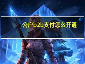 公户b2b支付怎么开通