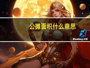 公摊面积什么意思