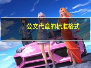 公文代章的标准格式（公文代章怎么写）