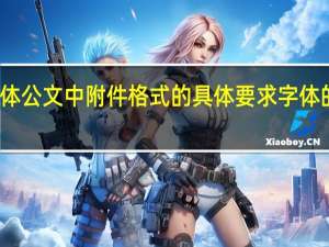 公文里面的附件要求的字体 公文中附件格式的具体要求 字体的大小 附件是否应是主题词之后