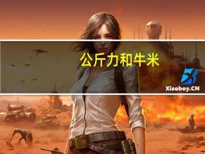 公斤力和牛米（公斤力）