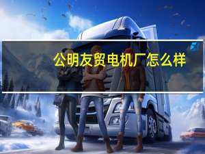 公明友贸电机厂怎么样