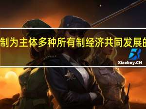 公有制为主体多种所有制经济共同发展的经济制度（公有制为主体多种所有制经济共同发展）