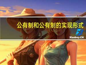 公有制和公有制的实现形式