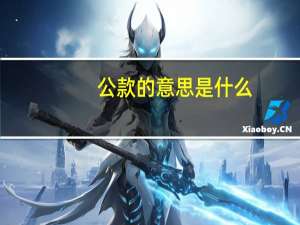 公款的意思是什么