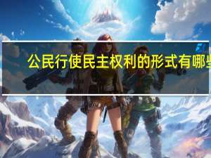 公民行使民主权利的形式有哪些