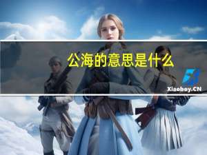 公海的意思是什么