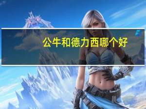 公牛和德力西哪个好