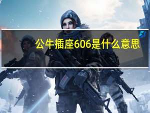 公牛插座606是什么意思