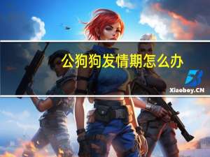 公狗狗发情期怎么办