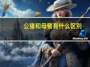 公猪和母猪有什么区别