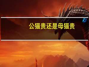 公猫贵还是母猫贵